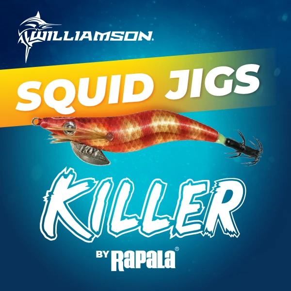 Squid jigs williamson rapala killer